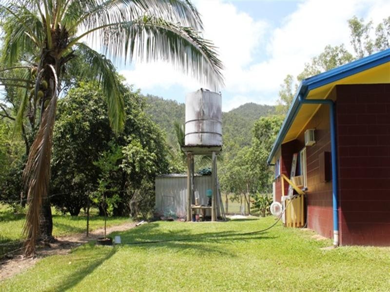 1316 Hawkins Creek Road, Hawkins Creek QLD 4850