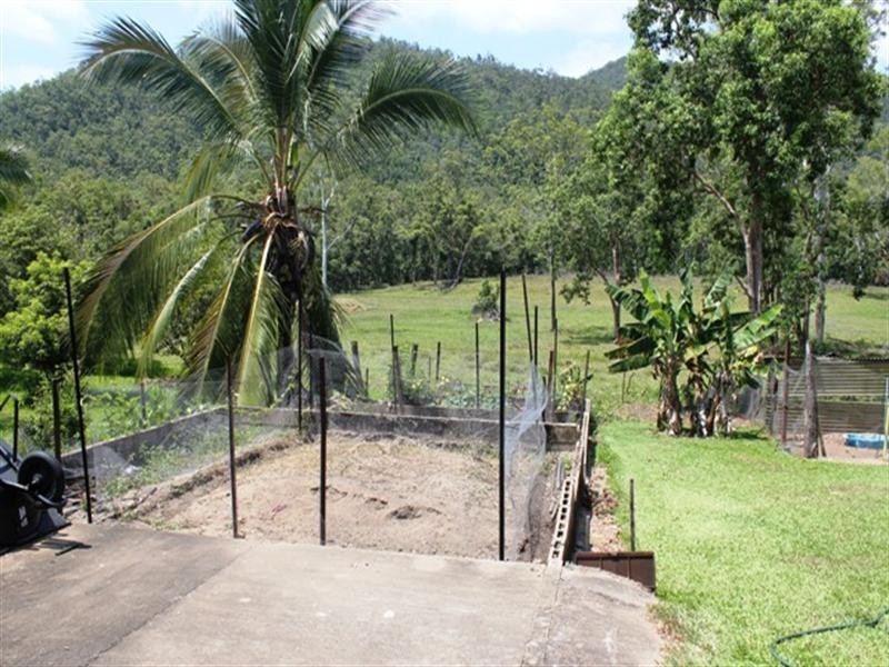 1316 Hawkins Creek Road, Hawkins Creek QLD 4850