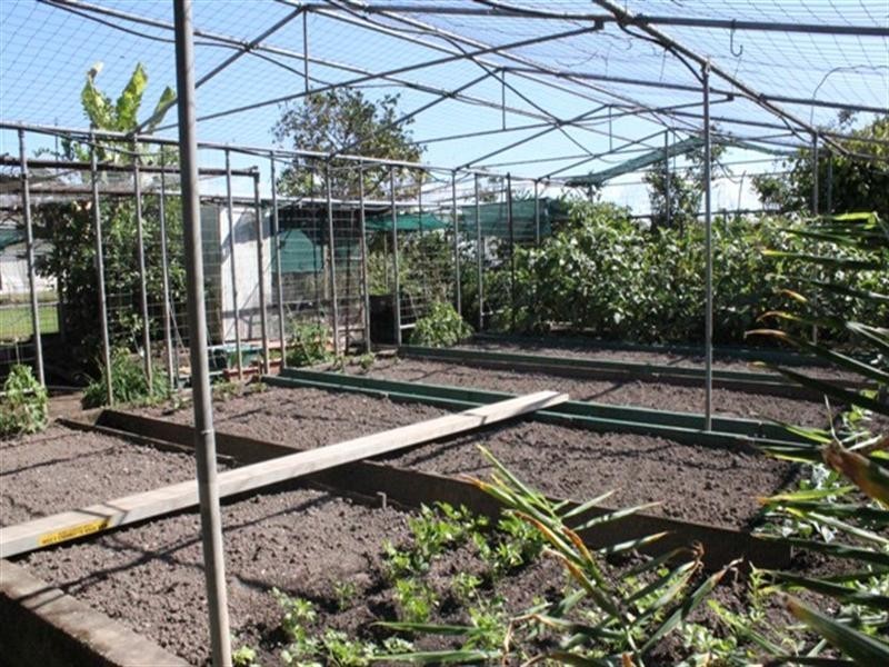 5 Covell Street, Ingham QLD 4850