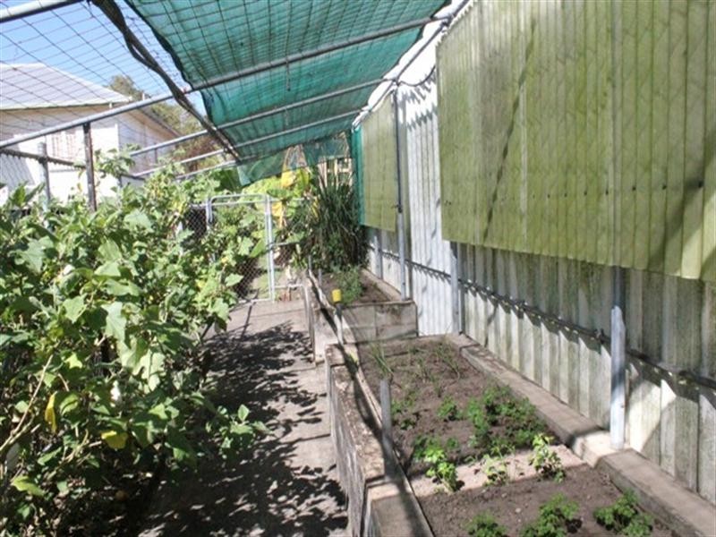 5 Covell Street, Ingham QLD 4850