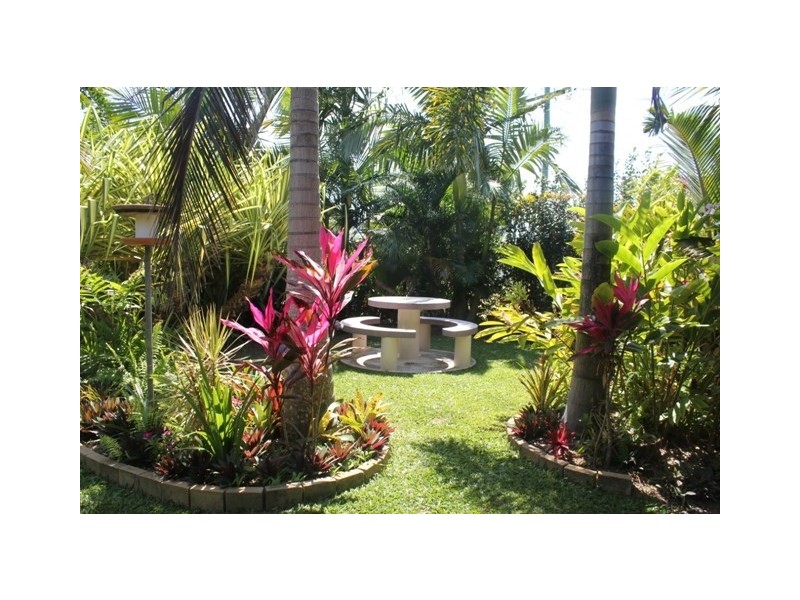 7 Shaws Avenue, Halifax QLD 4850