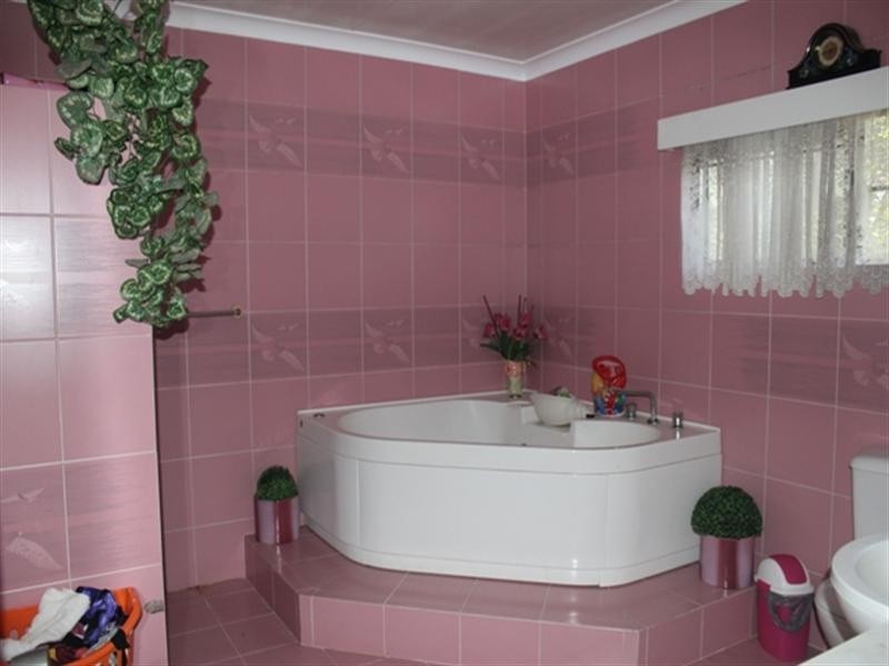 558 Hawkins Creek Road, Hawkins Creek QLD 4850