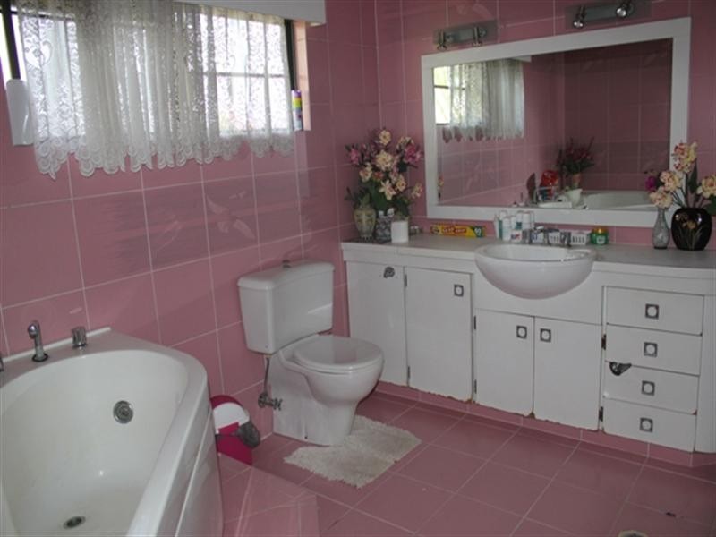 558 Hawkins Creek Road, Hawkins Creek QLD 4850