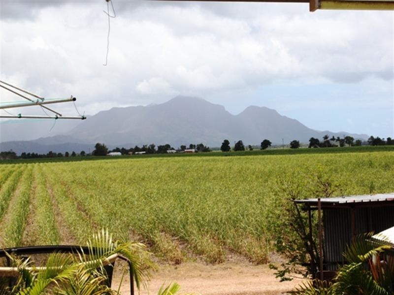 16 Marbelli Street, Macknade QLD 4850