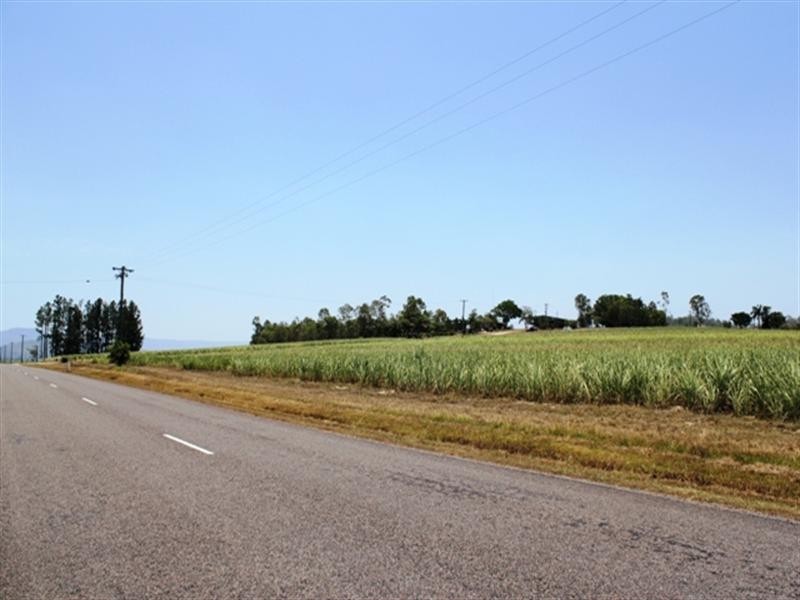 Ingham QLD 4850