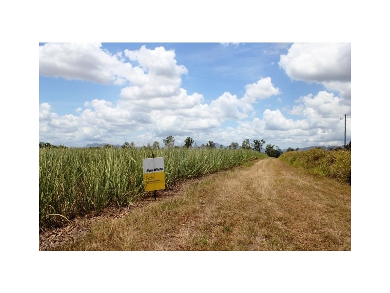 Long Pocket QLD 4850