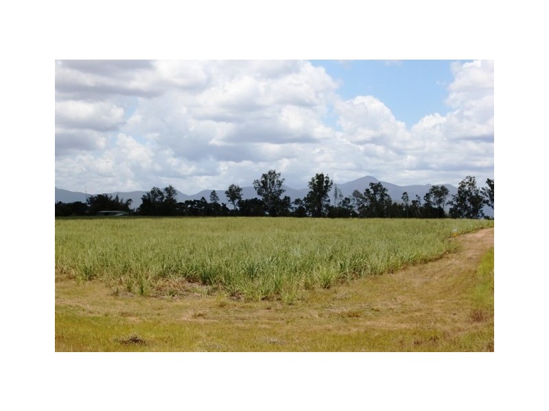 Long Pocket QLD 4850