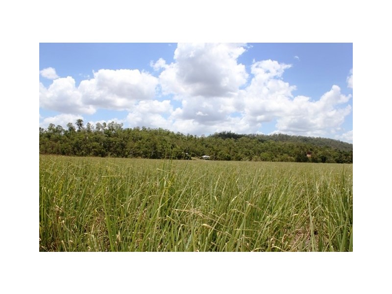 Long Pocket QLD 4850