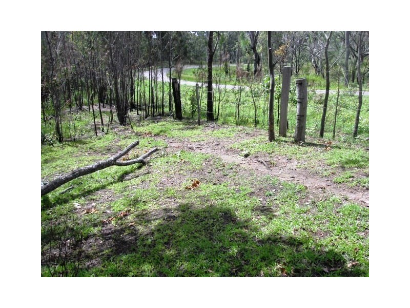 2039 Mount Fox Road, Mount Fox QLD 4850