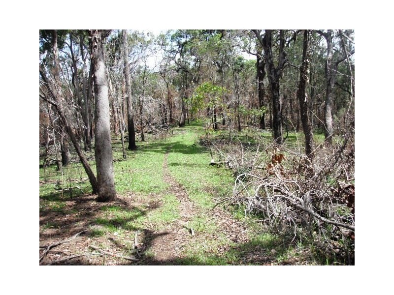 2039 Mount Fox Road, Mount Fox QLD 4850