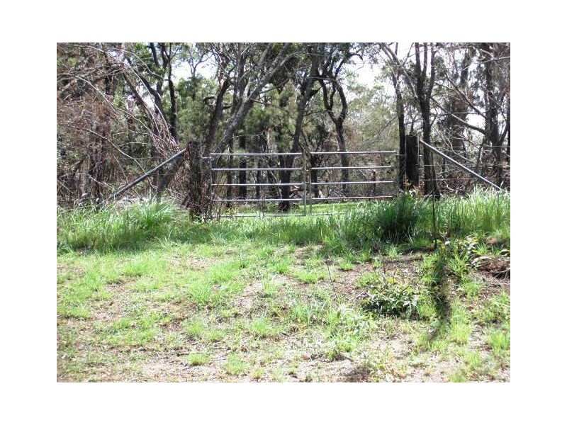 2039 Mount Fox Road, Mount Fox QLD 4850