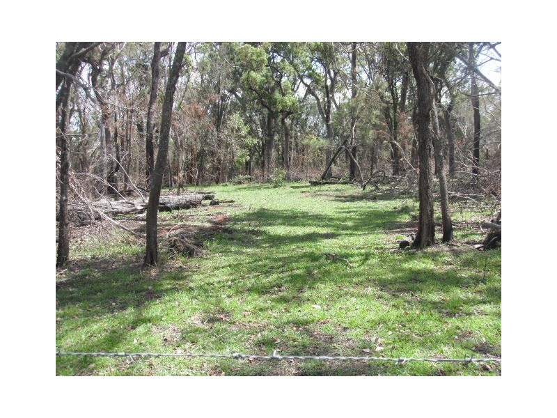 2039 Mount Fox Road, Mount Fox QLD 4850