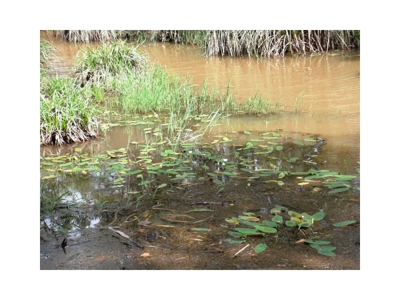 2039 Mount Fox Road, Mount Fox QLD 4850