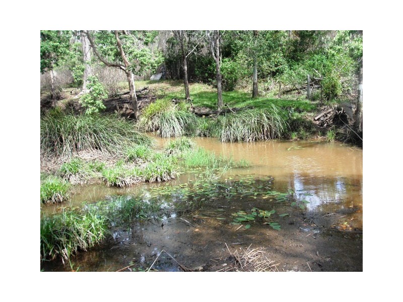 2039 Mount Fox Road, Mount Fox QLD 4850