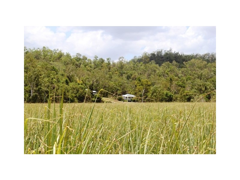 49 Sheahans Road, Long Pocket QLD 4850