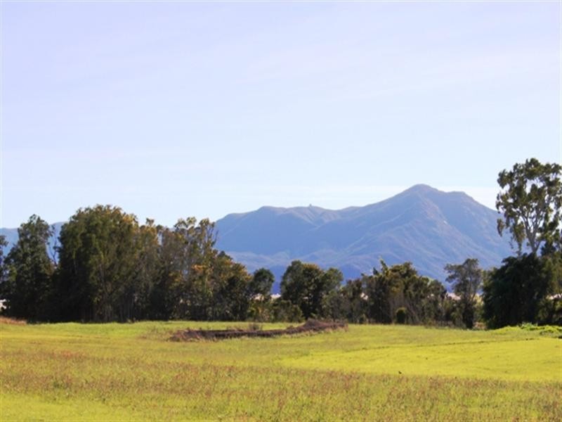 461 Bullock Paddock Road, Macknade QLD 4850