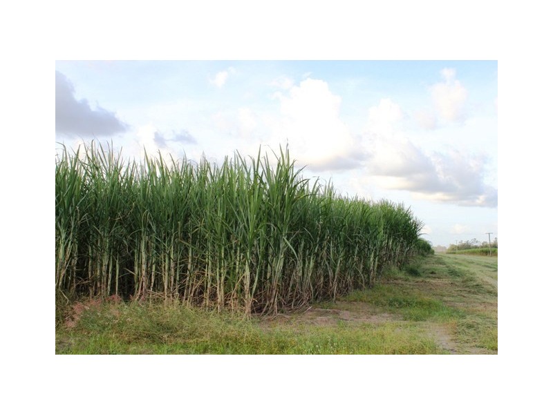 113 Exelbys Road, Upper Stone QLD 4850