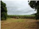 539 Four Mile Road, Ingham QLD 4850