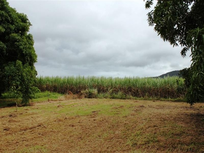 539 Four Mile Road, Ingham QLD 4850