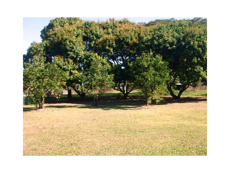 25 Palmer Street, Ingham QLD 4850