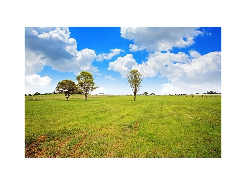 59 Kelvin Park Drive, Bringelly NSW 2556