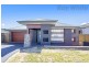 119 Pioneer Drive, Carnes Hill NSW 2171