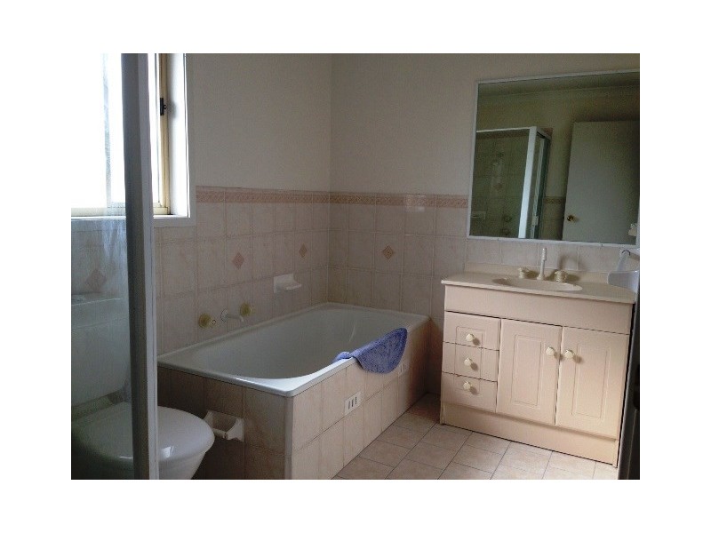 41 Athlone Street, Cecil Hills NSW 2171