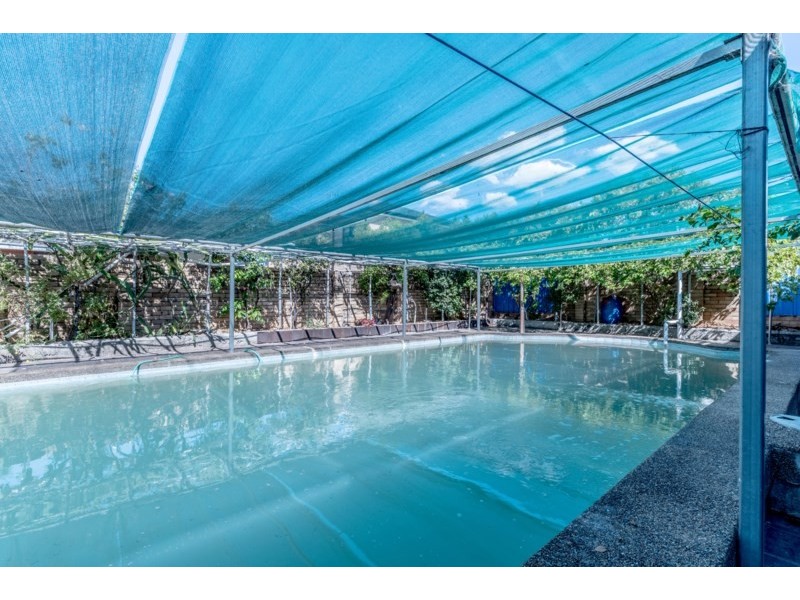 1 Cayley Avenue, Punchbowl NSW 2196