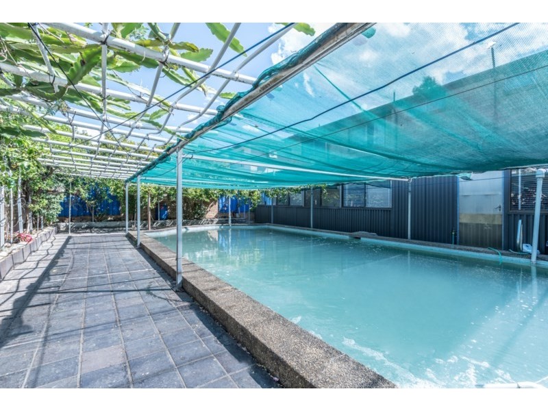 1 Cayley Avenue, Punchbowl NSW 2196