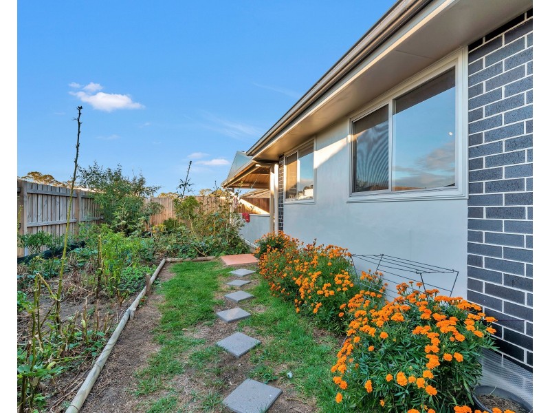 17 Moscow Road, Edmondson Park NSW 2174