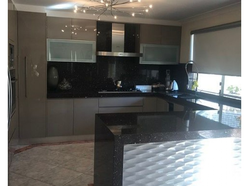 19 Wallis Crescent, Cecil Hills NSW 2171