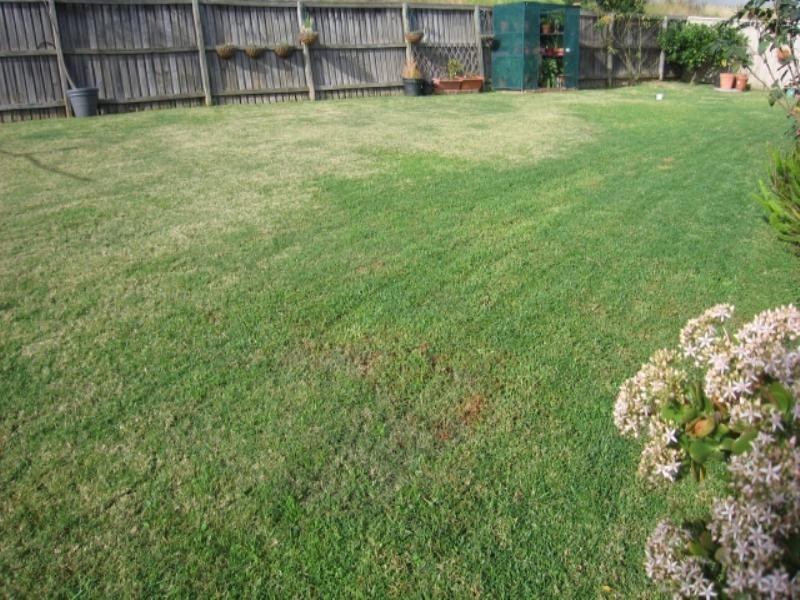 Cecil Hills NSW 2171