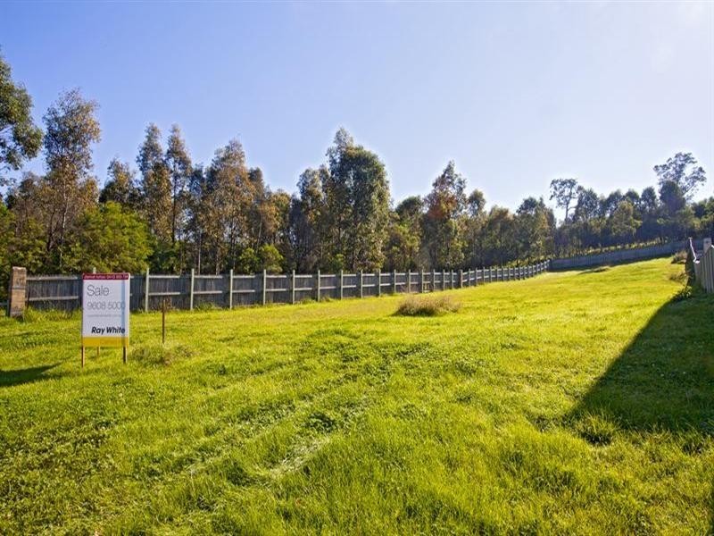 17 Toulouse Street, Cecil Hills NSW 2171