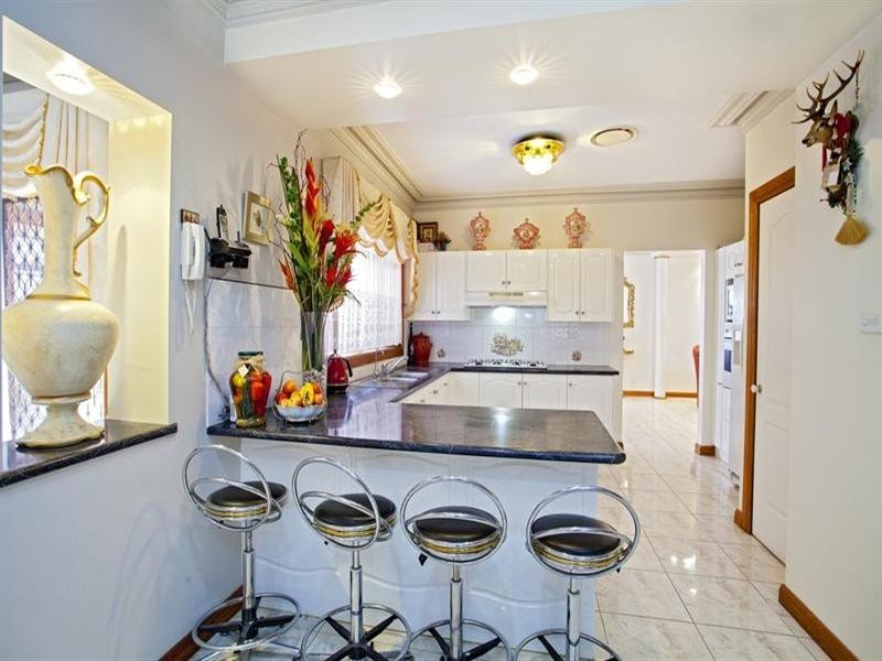 19 Tudor Crescent, Cecil Hills NSW 2171