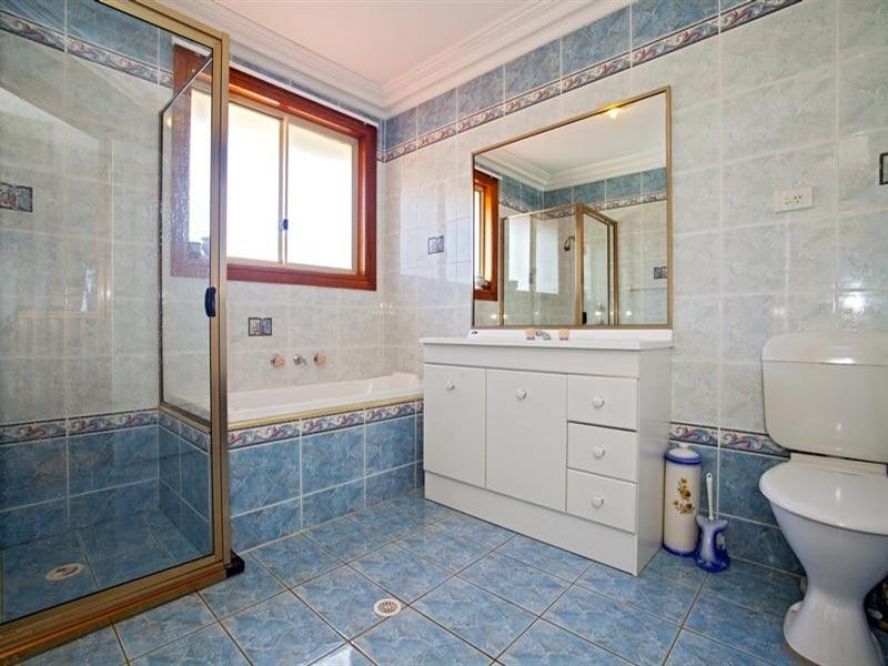 19 Tudor Crescent, Cecil Hills NSW 2171