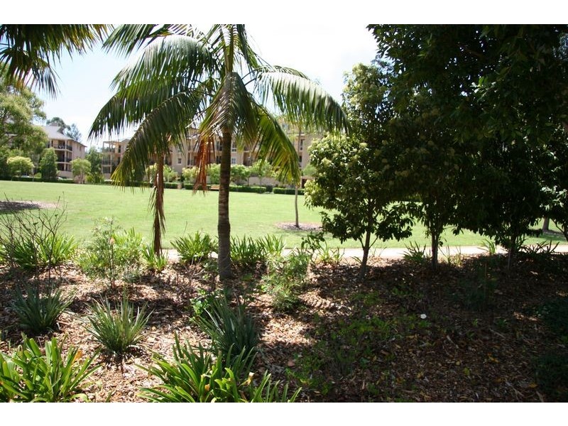 Liberty Grove NSW 2138