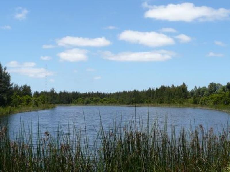 2/1 Sandpiper Crescent, Newington NSW 2127