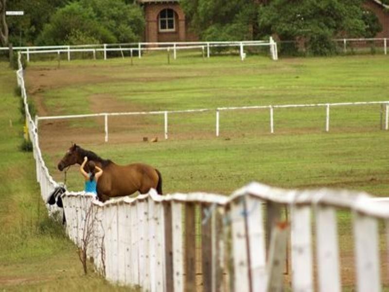 147 Queen Street, Concord West NSW 2138