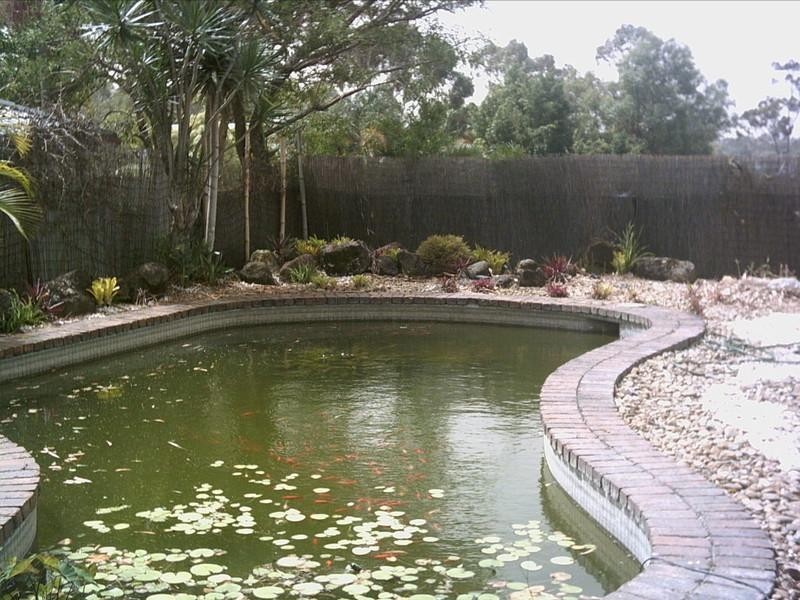 167 Cotlew Street, Ashmore QLD 4214