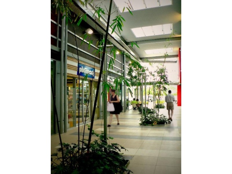 33 Hollywell, Biggera Waters QLD 4216