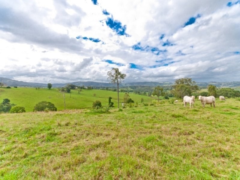 267 Lacey’s Creek Road, Laceys Creek QLD 4521