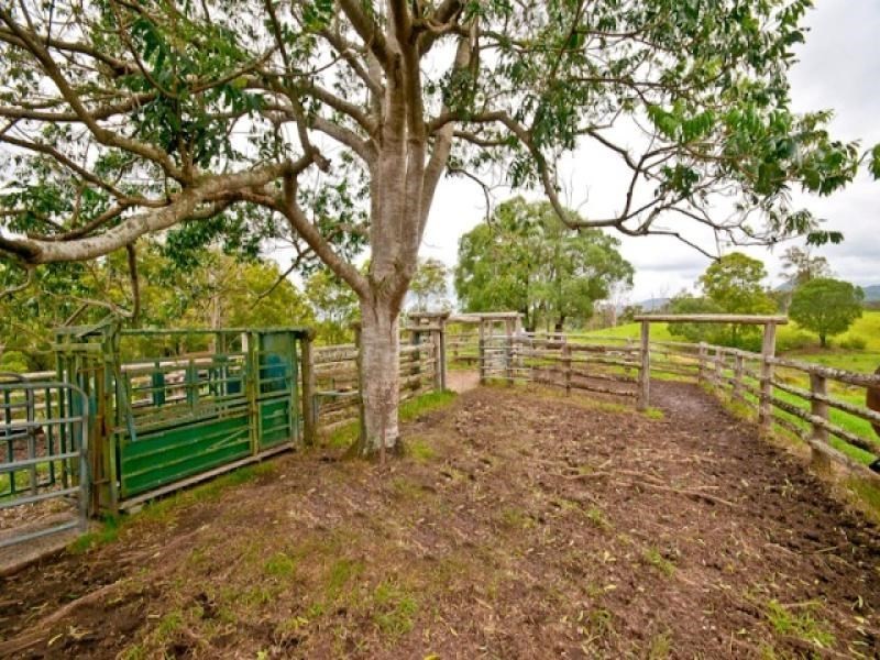 267 Lacey’s Creek Road, Laceys Creek QLD 4521
