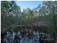 Samsonvale QLD 4520