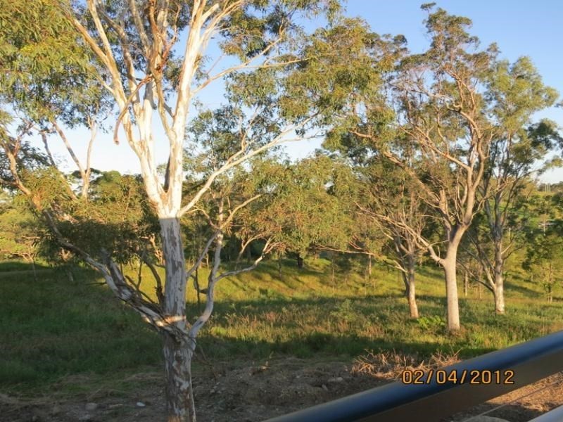 303 Ocean View Road, Ocean View QLD 4521