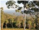 303 Ocean View Road, Ocean View QLD 4521