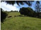 167 Bond Road, King Scrub QLD 4521