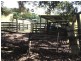 167 Bond Road, King Scrub QLD 4521