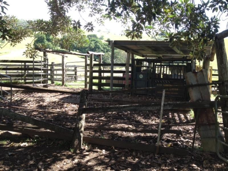 167 Bond Road, King Scrub QLD 4521