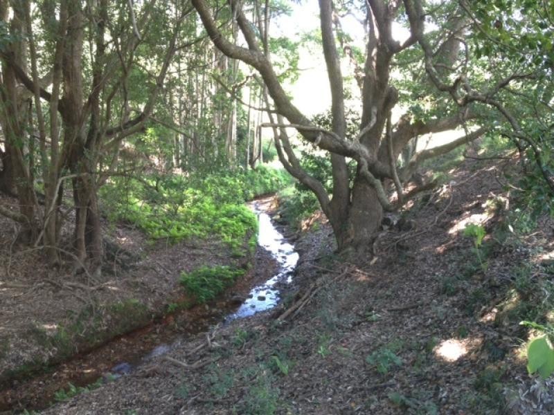 167 Bond Road, King Scrub QLD 4521