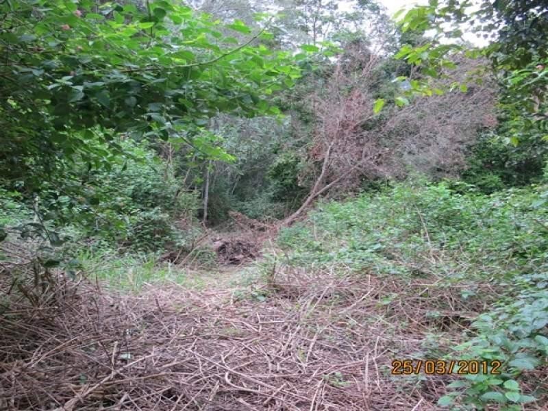 Lot 2 Wirth Road, Laceys Creek QLD 4521